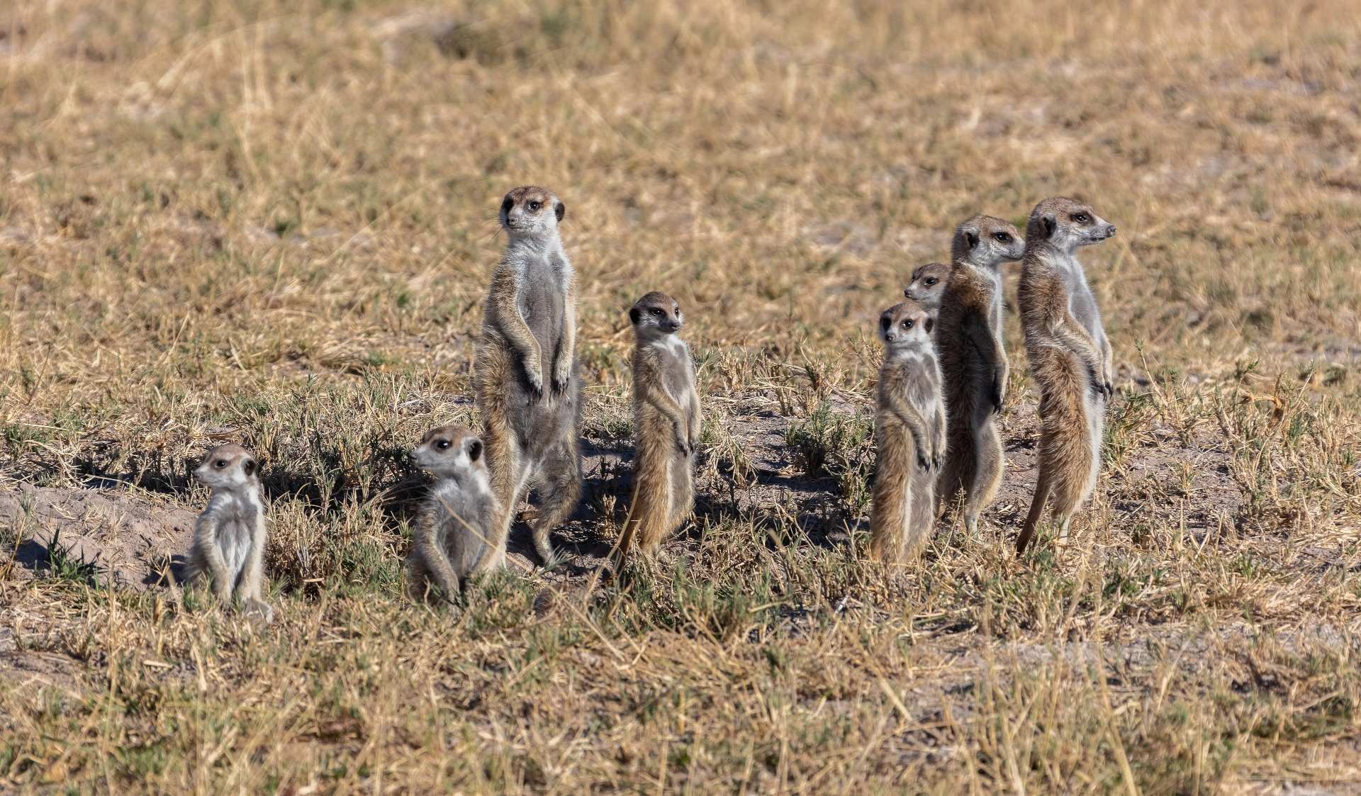 Makgadikgadi Pans National Park