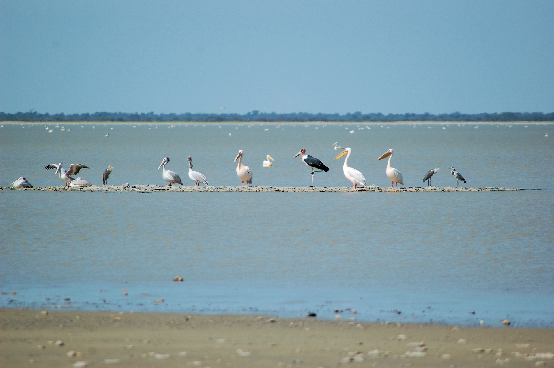 Nata Bird Sanctuary