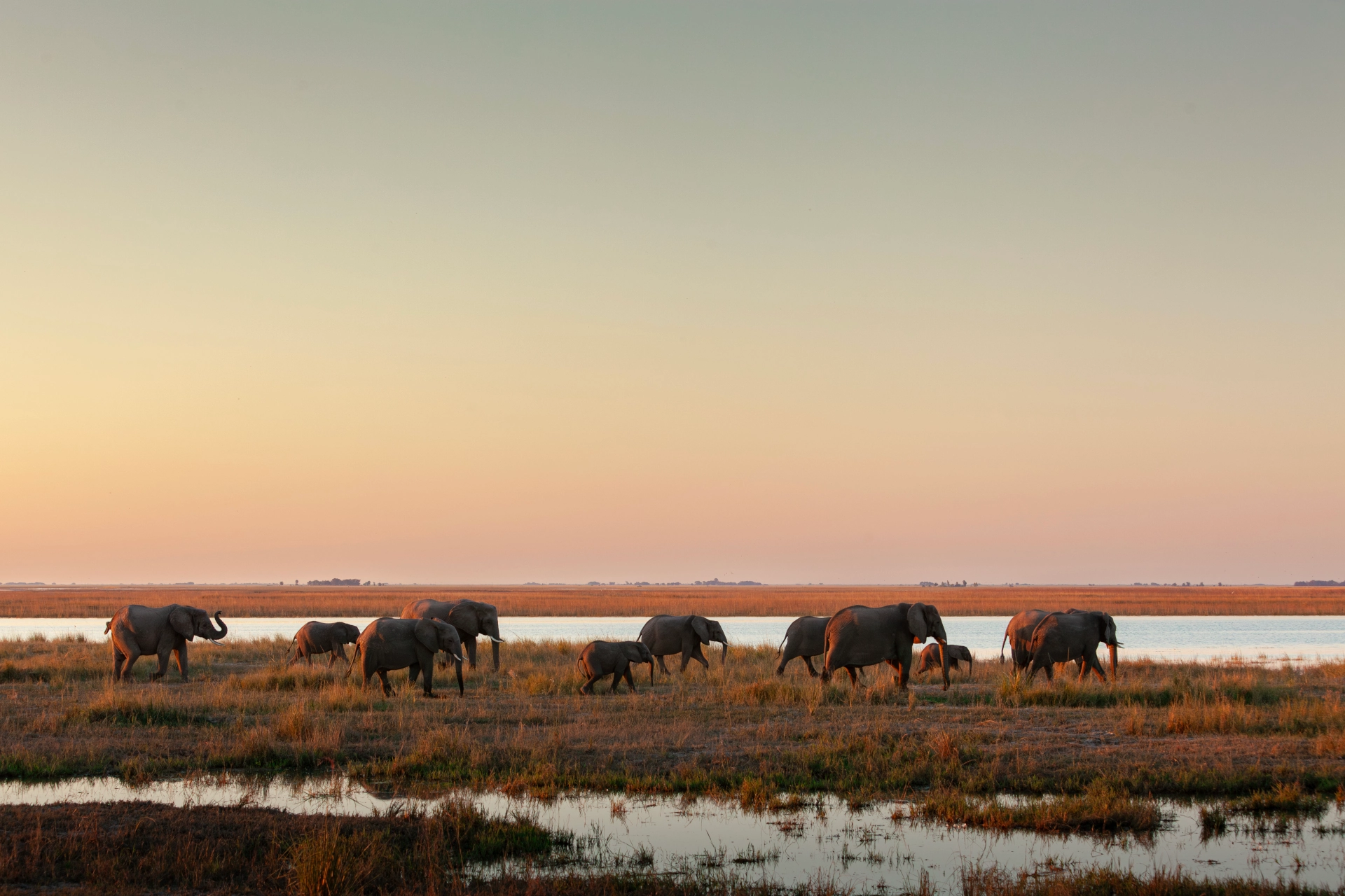 Chobe Game Reserve