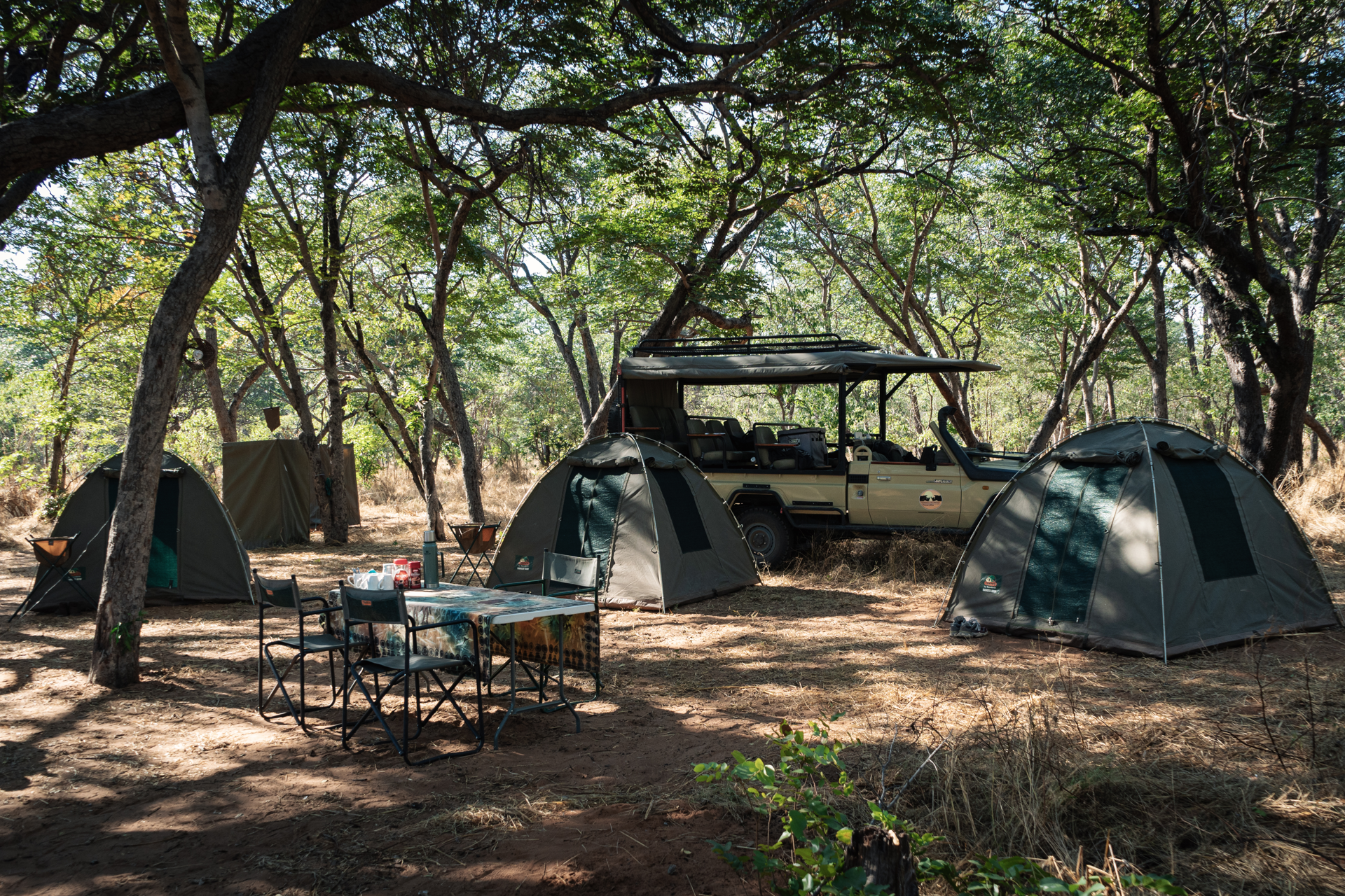 Safari experience in Okavango Delta