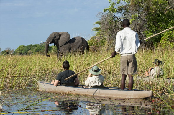 Okavango Exploration