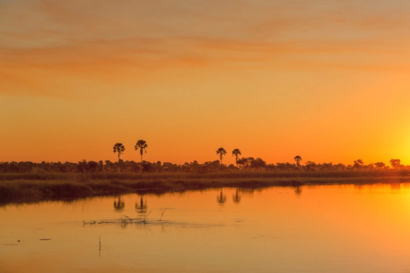 Sunset Safari – Safari landscape